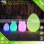 Rechargeable cordless decorative LED table lamp / LED color changing ball light outdoor