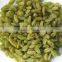 AD Dried green Raisins for good sale