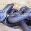 End shackle for anchor chain