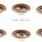 Naty B gray colored contact lenses from I-CODI Korea factory sealed lenses wholesale contact lens