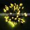 AC 110V 220V with CE & RoHS xmas led light string Christmas Decor led String Lights
