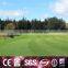  China Promotional Top Quality 6-60Mm Artificial Grass Turf For Garden