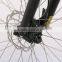 29inch new model Electric Bike for Man