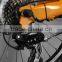 20'' new style PAS e-bike built-in Lifepo4 lithium battery 24V 8AH