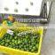 HP-360 Top And Bottom Spray Vegetable Fruit Cleaning Washer and Dryer Machine