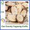 craft wood slices oval shaped wooden slices with drilling hole