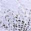 6 x 6 m white camo net,camouflage net white,snow Camuflaje /red de camuflaje