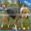 Trend 2016 Cleaning Product Mini Wash Machine Factory Price Dog Product Amazon Good Sell