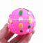 Evade glue pet ball with sunshine picture on size 7cm