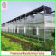 China cheapest Hot-dip galvanized steel structure greenhouses with hydroponic grow systems