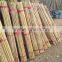 24~26MM 240CM Tonkin Bamboo Stakes For Orchard