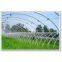 the greenhouse galvanized wire