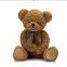 SHY BEAR