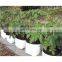 Garden High Quality Ripstop Recycling Woven Plant Bag