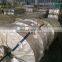 Galvanized Prime Hot Rolled Steel Sheet In Coil