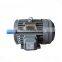induction motor 10hp