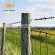 Made in China galfan hot dip galvanized carbon steel tidy neat with no sharp sheep wire mesh fence