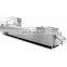Tilapia Fillets Automatic Fish Vacuum Packing Machine