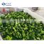 BRC High Quality  IQF Vegetables for Frozen Broccoli Cuts