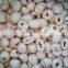 Tropical Fruit IQF Frozen Lychee