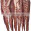 frozen squid tentacle frozen giant squid tentacle leg ballerina cut DOSIDICUS GIGAS