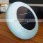 New Design Environmental Machine Cheap Water Solar Ionizer For Swimming Pool