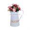 New Design Wholesale Home Decorative Garden Plants Antique White Color Metal Painting Flower Pots With Spout Flower Vase