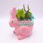 Office Small Ceramics Plastic Green Plants Ornamental Indoor Plants Colorful Animal Korean Succulent Artificial Plant Bonsai