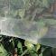 Factory Supply High Quality Cheap Price Transparent White Anti Insect Net for Greenhouse and Agriculture