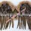 Wholesale Pheasant Chicken Wings For Halloween Decoration