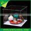 2mm clear acrylic model display box, transparent plexiglass model display box with jointing