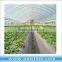 20mil Transparent Reflective Greenhouse Film