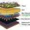 green roof drainage board