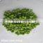 New Crop Hot Sale dry Green Pea