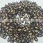 Purple Watermelon Seeds Price