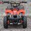 Nice Design Kids Mini Motor 800W Mini Quad, Electric ATV for kids / QWMATV-01A                        
                                                Quality Choice