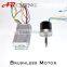 small brushless direct drive motor with controller 36v 250w                        
                                                Quality Choice