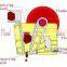 PE600*900 mining stone crushing jaw crusher