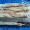 Frozen Squid Illex Whole Round