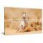 Runny Horse Inkjet Canvas Printed Painting Livingroom Decoration DWYS56