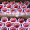 Top quality fresh qinguan apples class A pome fruits Agricultural products