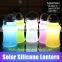 Patented product color solar lantern Christmas ornaments / promotional gifts