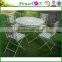 Best Price High Quality Garden Wrought Iron Slat Folding Chair