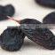 nutritional seedless black raisins dried grape sultana raisin