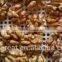 New Crop Best Price Chinese Walnut Kernel Light Halves