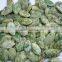 Chinese Green Tea Roasted Pumkin Seeds Kernels for sale