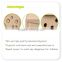 Eco-Friendly Wooden Insect Box Building Kit For Sale