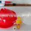 New Type Hot Selling in the World Plasson Poultry Chicken Drinkers for Sale