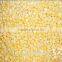 2016Frozen mixed vegetables for RUSSIAN/bulk frozen vegetables