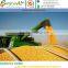 Yellow Feed Corn Ukraine Origin l Maize l Price l Animal l Human l NON GMO